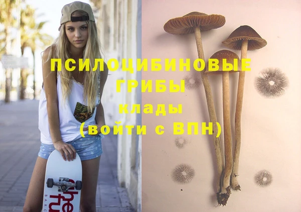 дурь Костерёво