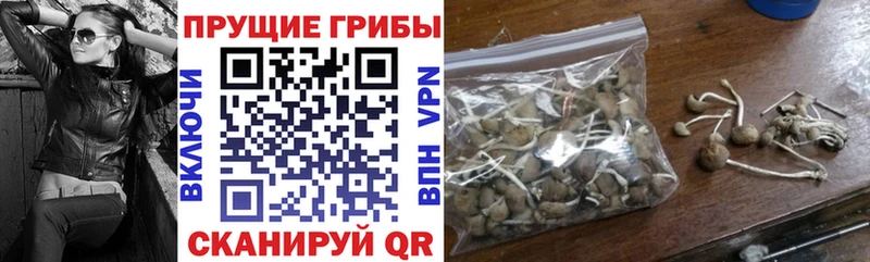 Купить закладки  Вольск  Псилоцибиновые грибы прущие грибы 