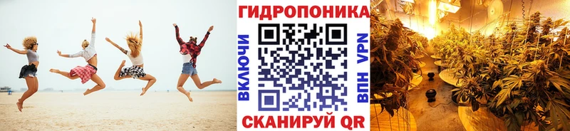 Купить  Вольск  Каннабис семена 